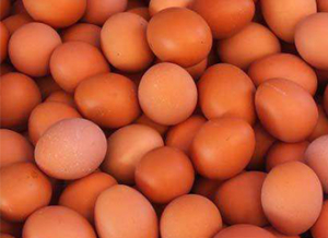 红皮鸡蛋白皮鸡蛋营养孰高孰低?