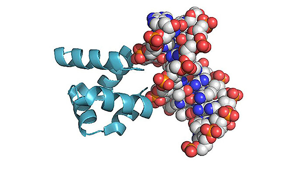 蛋白质从何而来重构原始蛋白质实验解决其起源之谜
