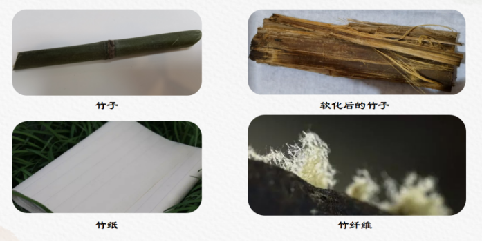 竹子是怎么变成纸的