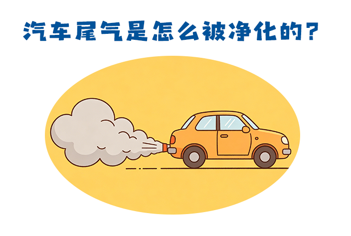 第496集 汽车尾气是怎么被净化的？