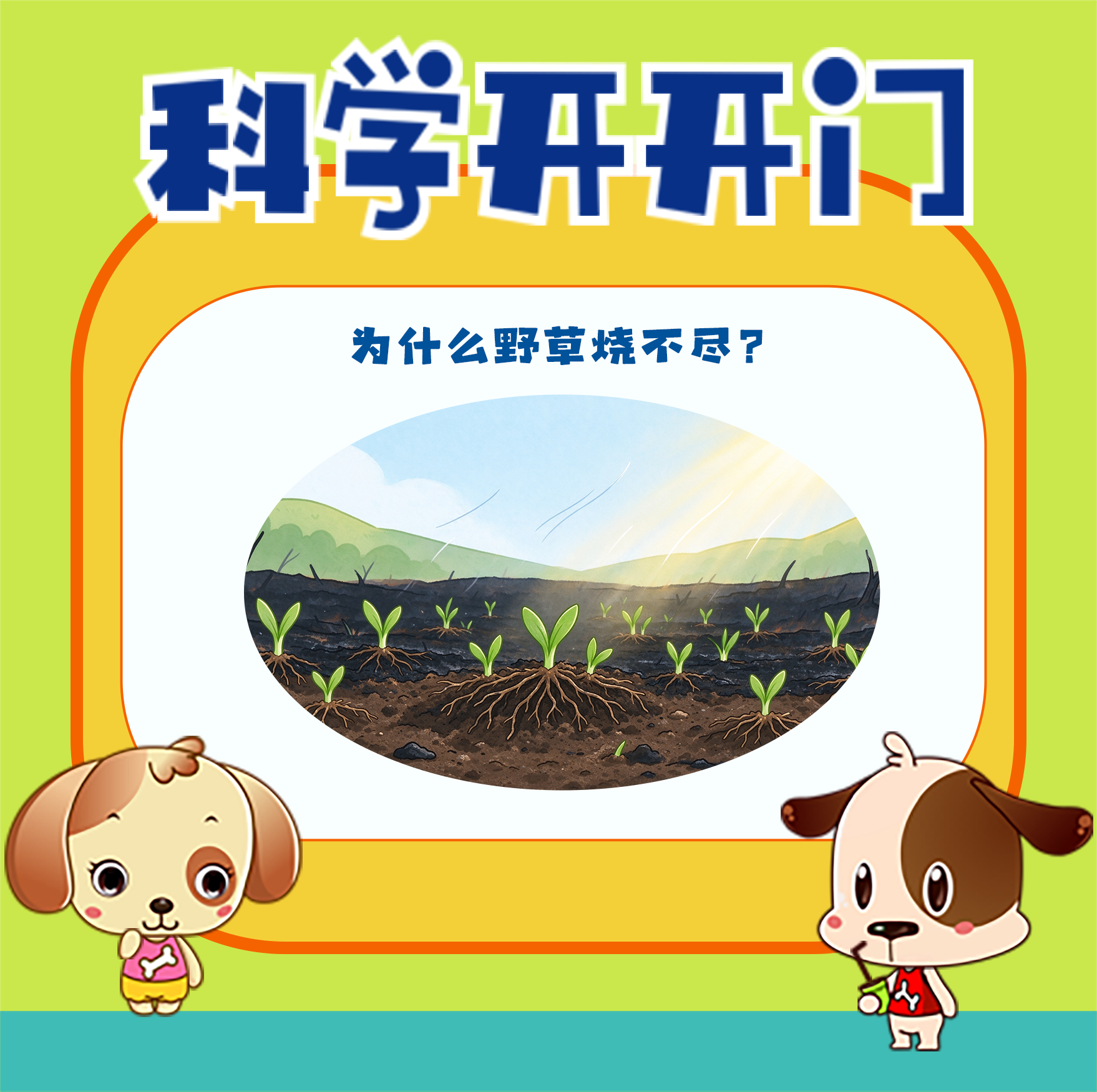 【科学开开门】第502集 古诗词中的科学：为什么野草烧不尽？