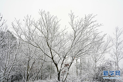 寒潮来袭;冰雪奇缘