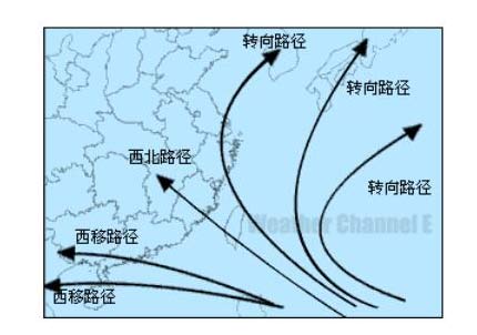 台风又双叒叕来了，为何近期台风如此频繁?