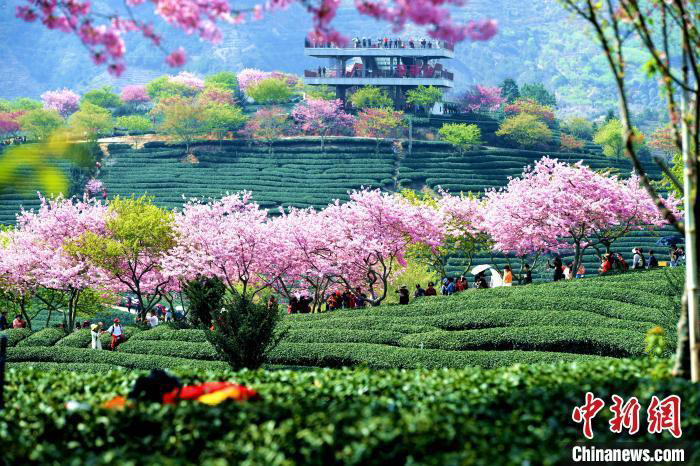 世界儿歌日,经典儿歌,动画片主题曲 世界儿歌日,经典儿歌,动画片主题曲