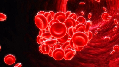 2019诺贝尔生理学奖;医学奖;认识生命 2019诺贝尔生理学奖;医学奖;认识生命