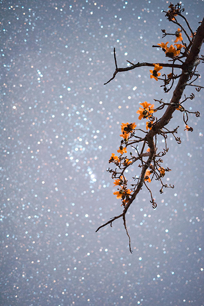 100张;照片;中国星空 100张;照片;中国星空