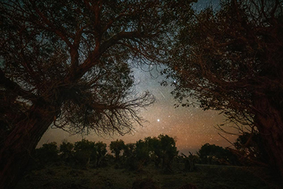 100张;照片;中国星空 100张;照片;中国星空