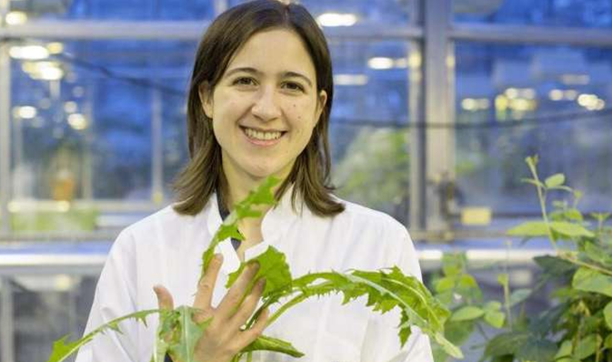 001844xdqj55m0zgz9gjkg - 副本.png