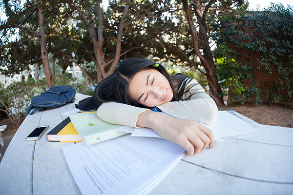 睡眠,学习过程,考试