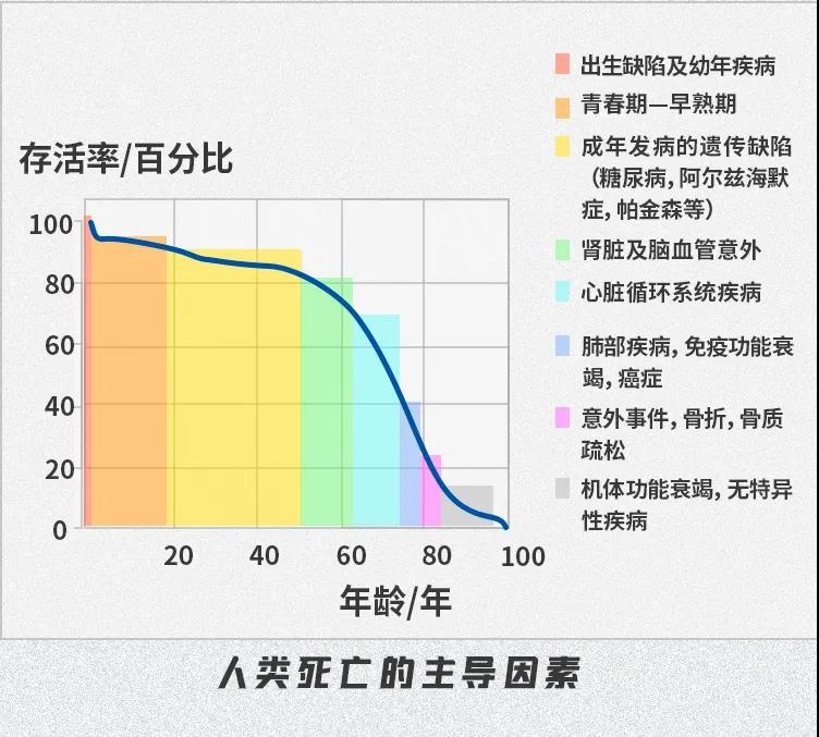 昆虫;乌龟;寿命;极限