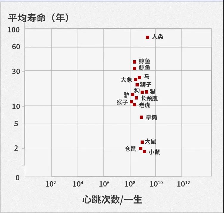 昆虫;乌龟;寿命;极限