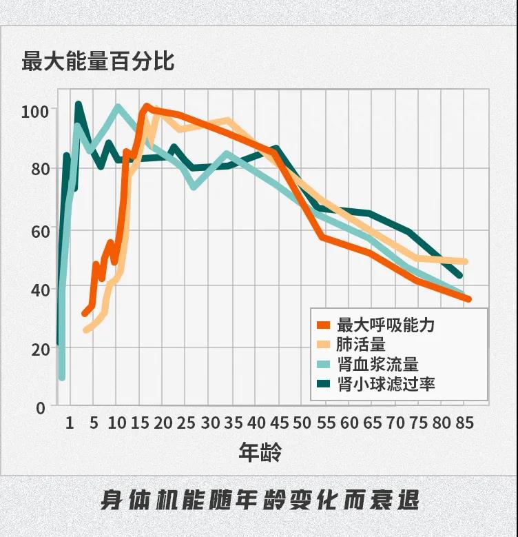 昆虫;乌龟;寿命;极限