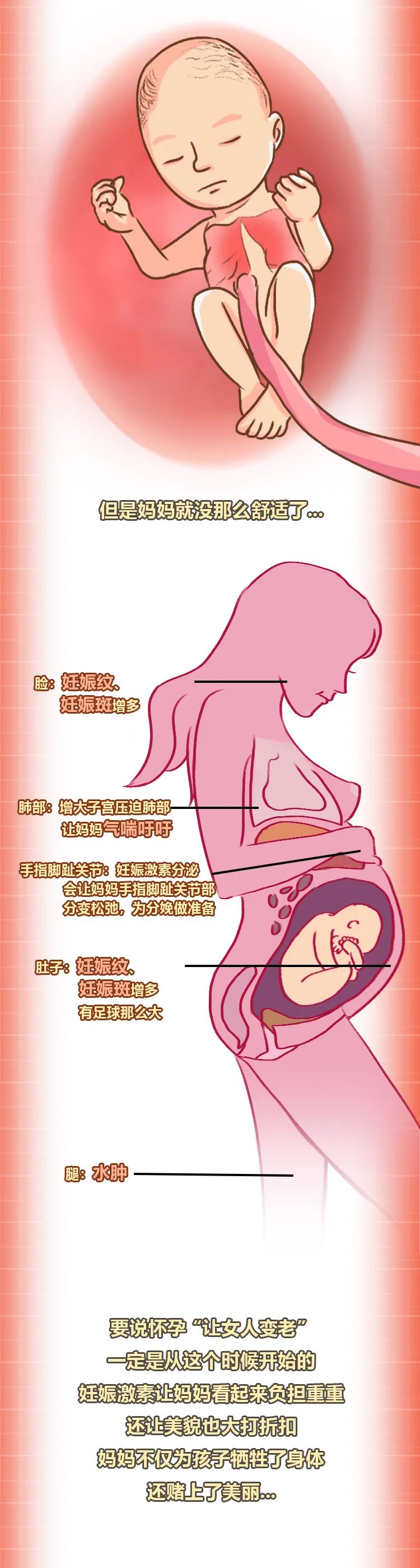 身体变化;怀孕 身体变化;怀孕