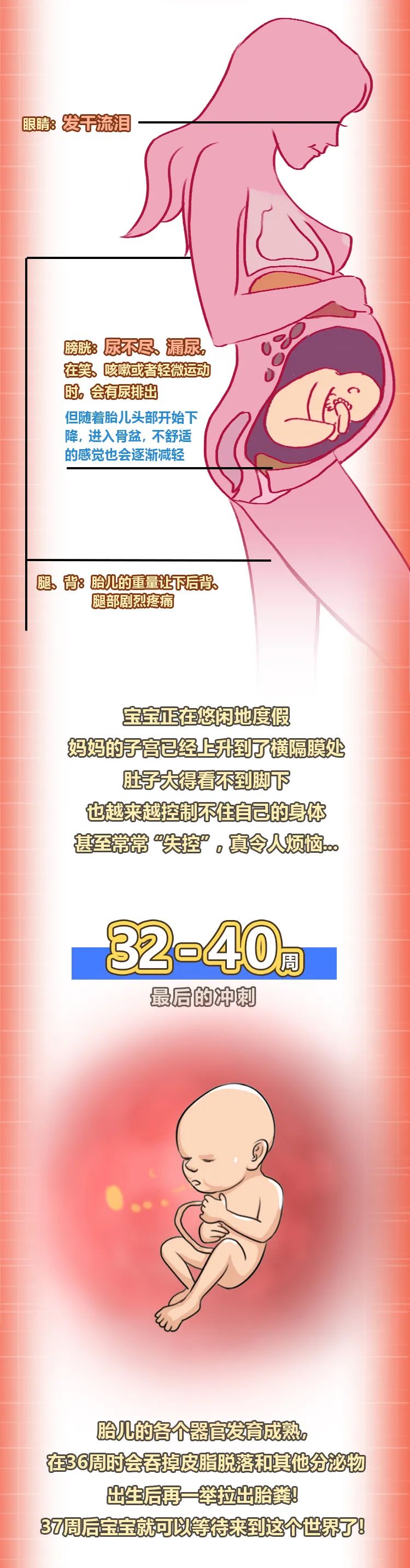 怀孕;最后冲刺 怀孕;最后冲刺