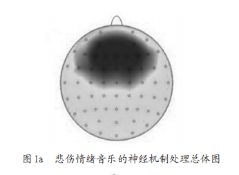 大脑分布