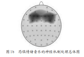 大脑分布