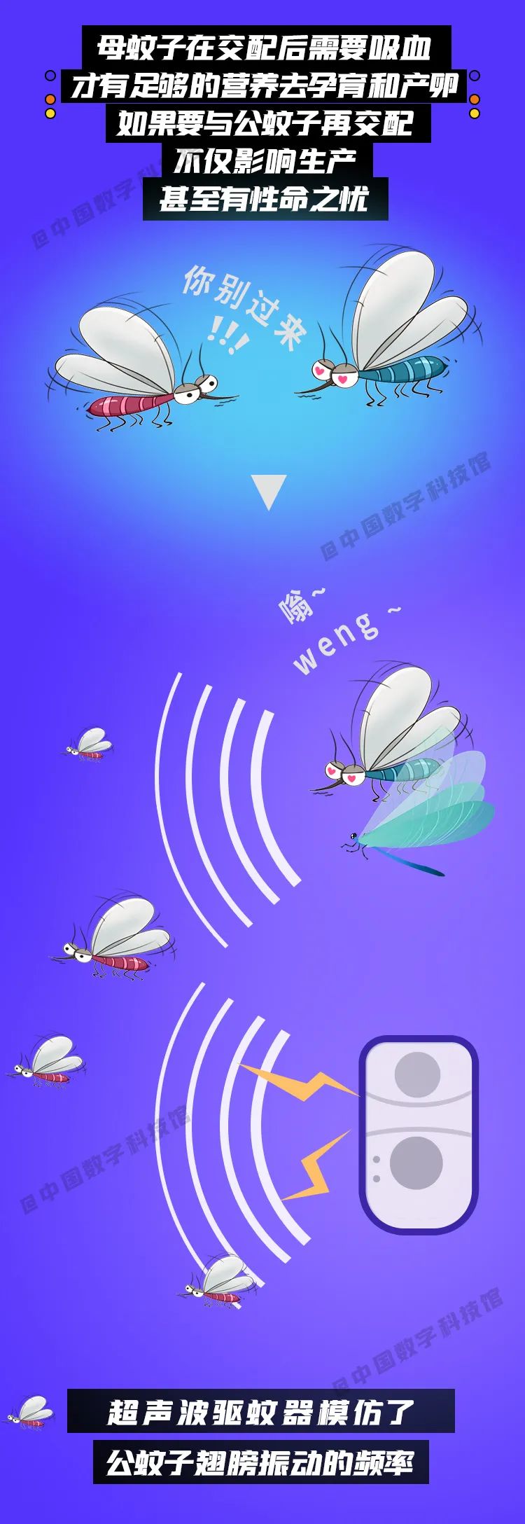 超声波;驱蚊器