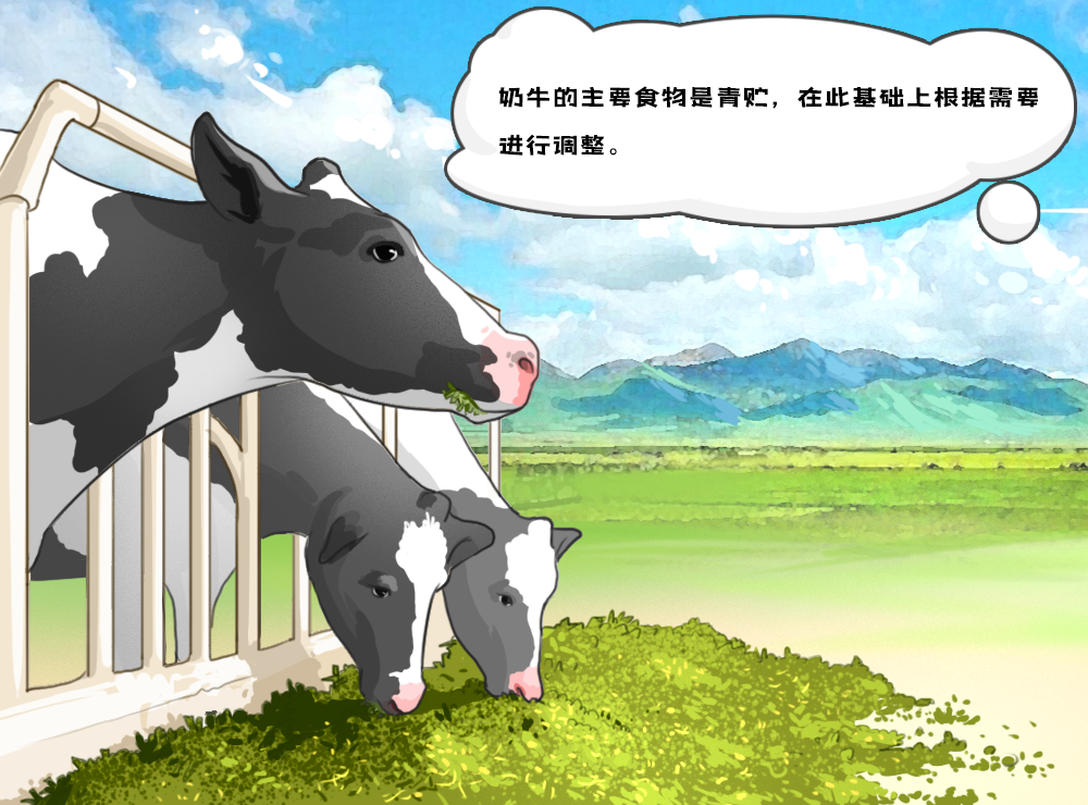 奶牛饲料 奶牛饲料