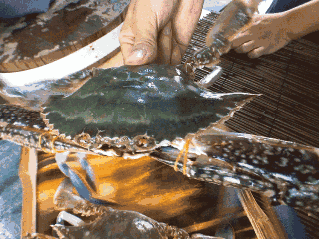 皇帝蟹;蟹;吃蟹季 皇帝蟹;蟹;吃蟹季