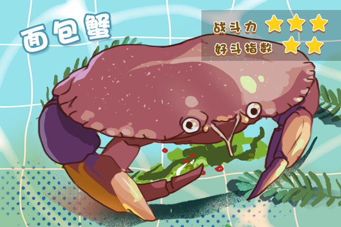 皇帝蟹;蟹;吃蟹季 皇帝蟹;蟹;吃蟹季