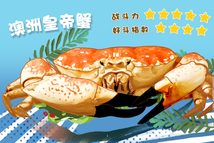 皇帝蟹;蟹;吃蟹季 皇帝蟹;蟹;吃蟹季