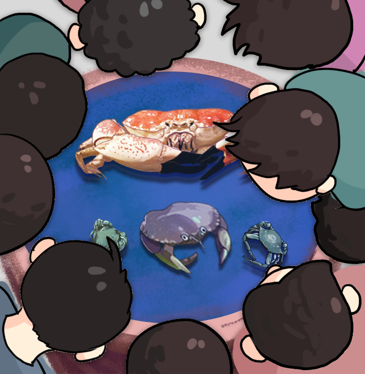 皇帝蟹;蟹;吃蟹季 皇帝蟹;蟹;吃蟹季