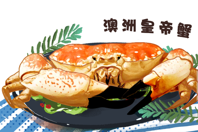 皇帝蟹;蟹;吃蟹季 皇帝蟹;蟹;吃蟹季