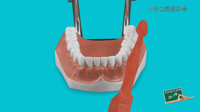 科学放大镜;宝爸宝妈;育儿;口腔卫生 科学放大镜;宝爸宝妈;育儿;口腔卫生