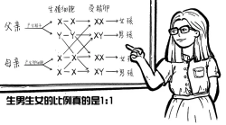 XY型性别决定,最常见的性别决定方式