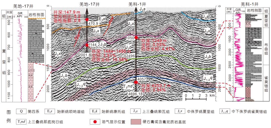 地震剖面,油气,显示特征