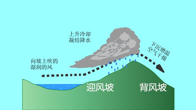 荒漠化;植树;植树节;植树造林;生态环境