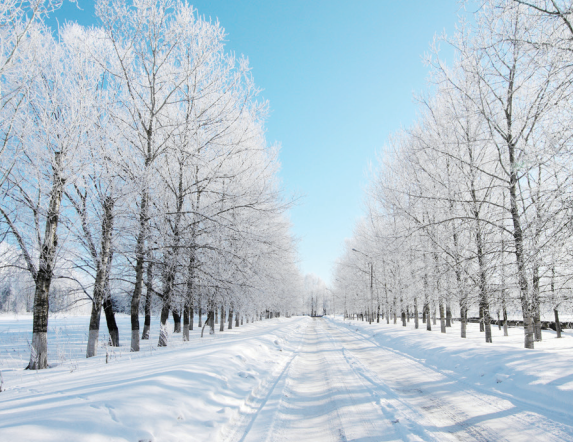 寒潮,防寒保暖,器官保暖,大雪节气