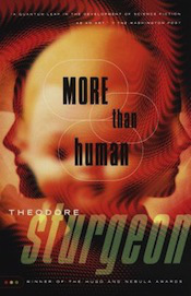 more-than-human