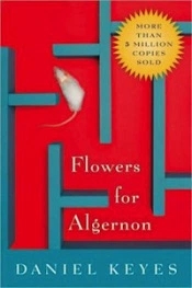 algernon.webp