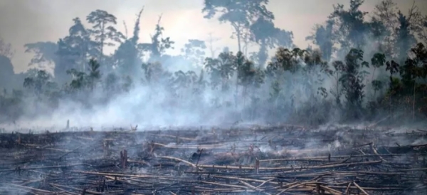 一个好消息和一个坏消息:气候变化预测更精确了,但“末日”可能来得更早 一个好消息和一个坏消息:气候变化预测更精确了,但“末日”可能来得更早