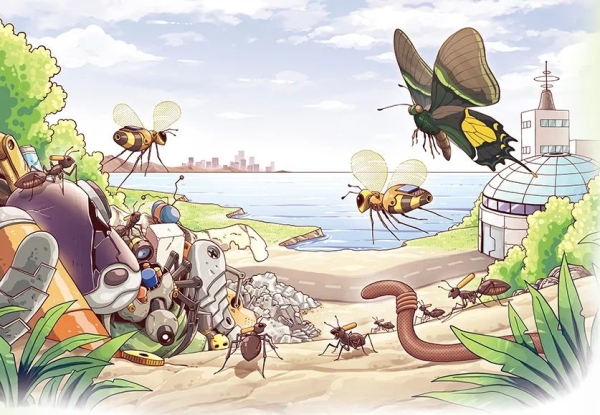 蝴蝶,插画 蝴蝶,插画