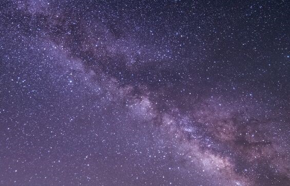 月球上有水熊? 月球上有水熊?