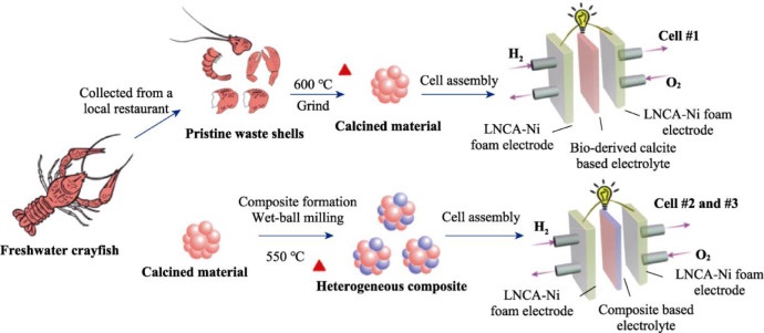 神奇!我国科学家用小龙虾壳制备高性能电极材料,性能优势明显 神奇!我国科学家用小龙虾壳制备高性能电极材料,性能优势明显
