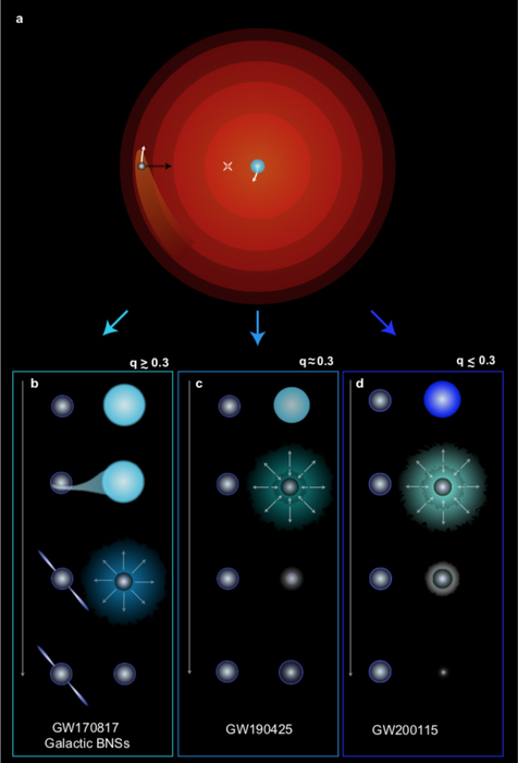 双中子星，天体物理