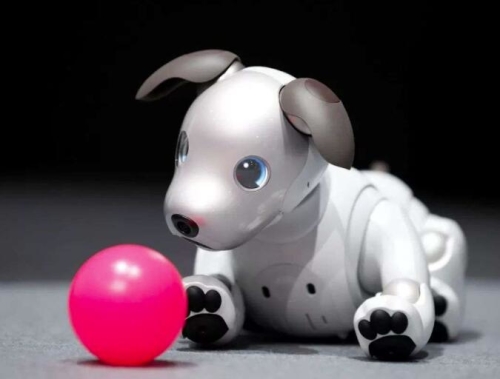 用机器狗哄老人开心,靠谱吗? 用机器狗哄老人开心,靠谱吗?