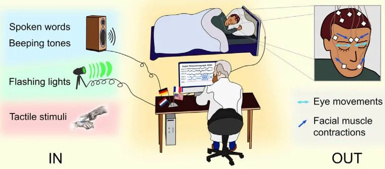 梦境交互:做个现代灵媒,考虑一下? 梦境交互:做个现代灵媒,考虑一下?