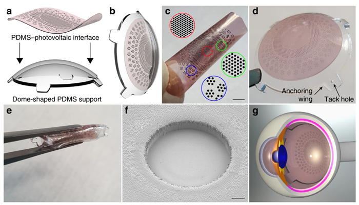 让视障人士重见光明!瑞士EPFL团队研发视网膜植入物赋予人工视觉 让视障人士重见光明!瑞士EPFL团队研发视网膜植入物赋予人工视觉