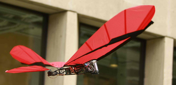 沙丘,扑翼机,飞行器 沙丘,扑翼机,飞行器