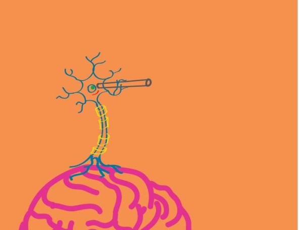 研究表明单个大脑神经元可以学会预测未来
