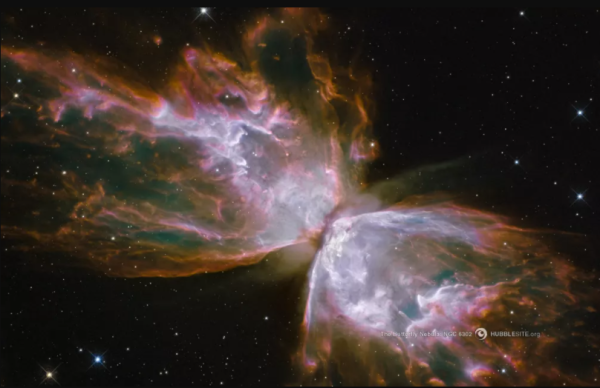 蝴蝶,星云 蝴蝶,星云