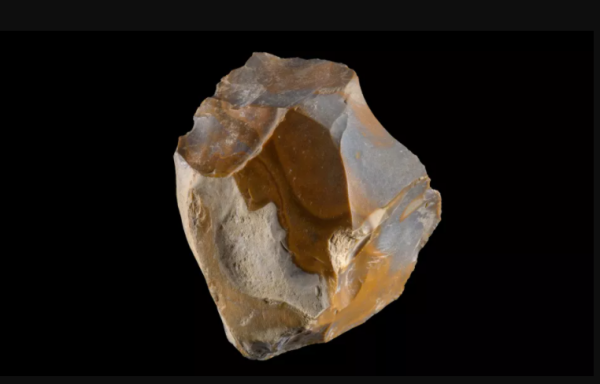 原始人,尼安德特人 原始人,尼安德特人