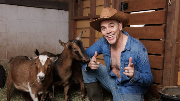 模拟山羊,游戏,电影 模拟山羊,游戏,电影