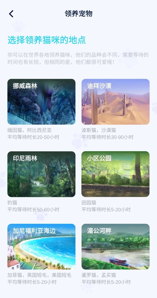 为了云养猫事业,人类付出了哪些努力? 为了云养猫事业,人类付出了哪些努力?