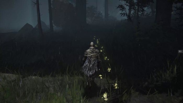 游戏体验,艾尔登法环 游戏体验,艾尔登法环