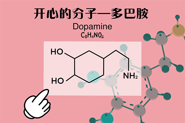合成大西瓜;大脑;愉悦回路 合成大西瓜;大脑;愉悦回路